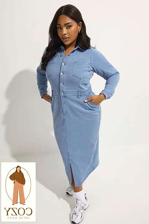 The Denim Shirt Dress