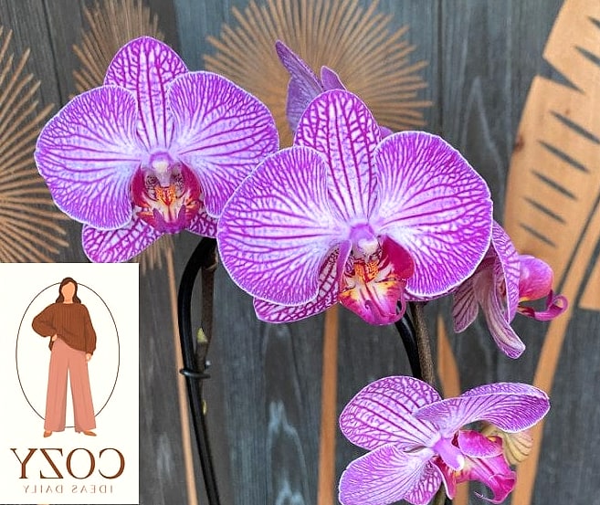 Orchid Pink-Purple Sundress