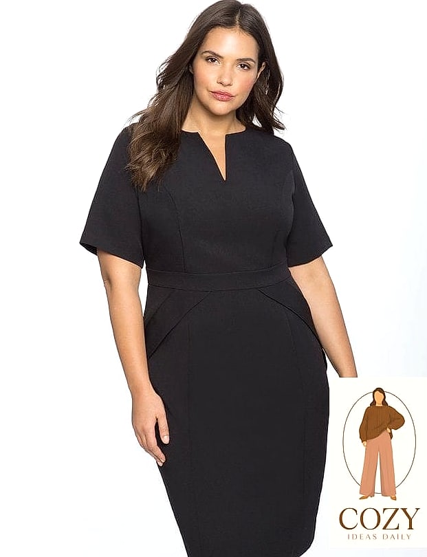 The Structured Sheath in Camel