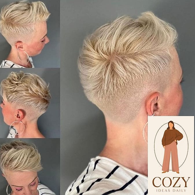 De Zijdelingse Pixie met Lange Pony